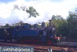 02-08_Lok-7-Teg