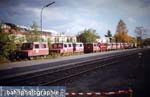 TEE_Triebkoepfe