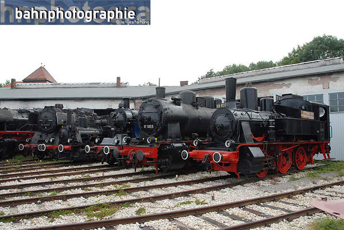 2014_Schuppen2