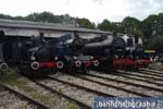 2014_Schuppen1