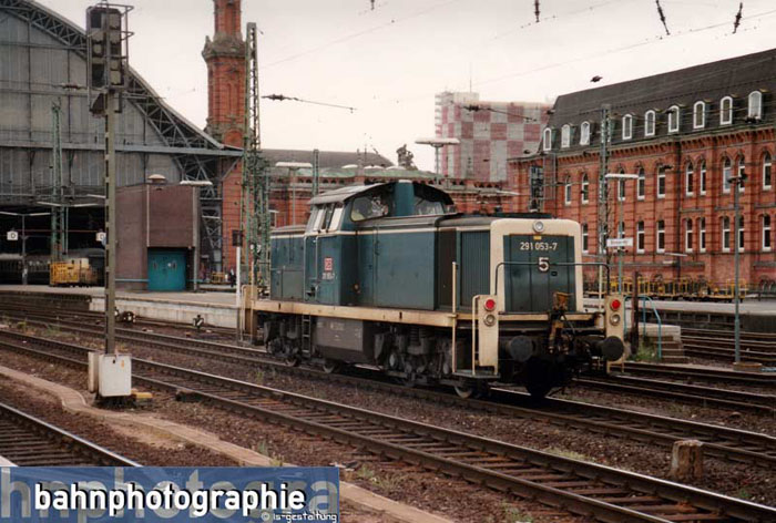 291053