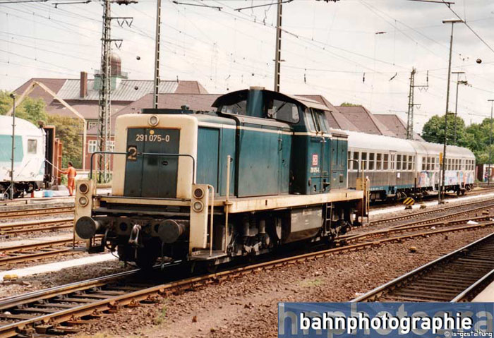 291075